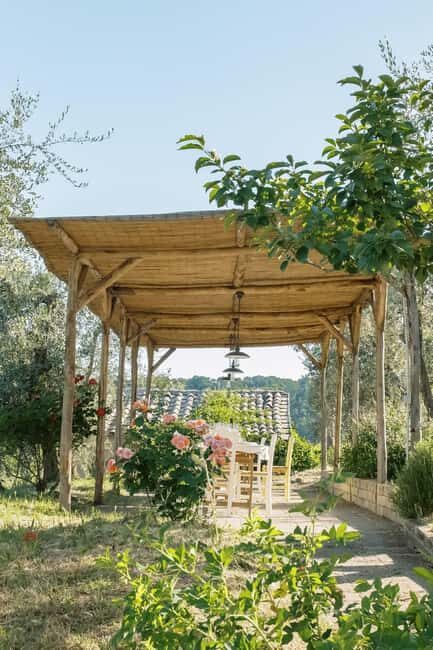 Orvieto: Classic Wine Tasting at Madonna del Latte - Why Choose This Tour?