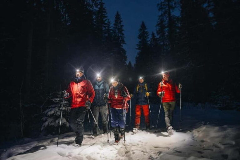 Oslo Forest: Private Mystery Nocturne Walk with Headlamps - What’s Included and How It Adds Value