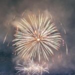 Oslo: New Year's Eve Cruise with DJ - Who Is This Cruise Best For?