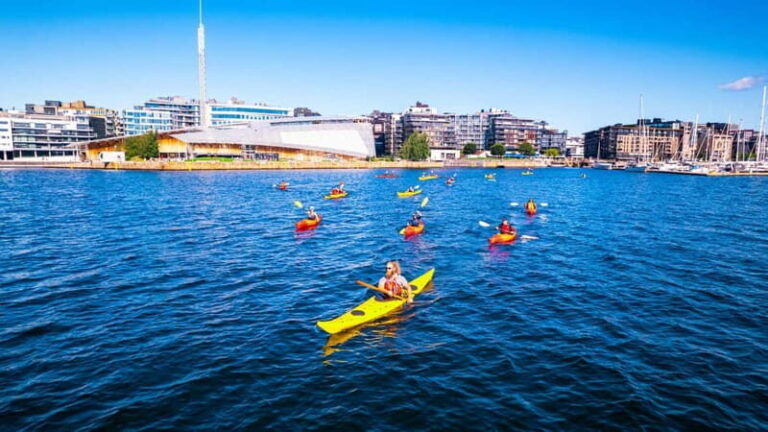 Oslo Sea Kayak Tour Fjord City - What to Expect on the Water