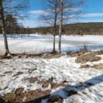 Oslo Summit: A Scenic Hiking Adventure to Vettakollen - How the Experience Feels