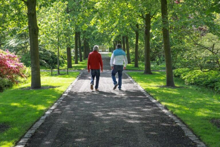 Oudenbosch: Guided City Walk - Who Is This Tour Best For?