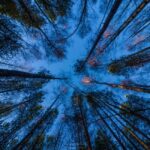 Oulu: 1-Hour Fatbike Tour from Nallikari to Hietasaari - The Experience in All Seasons