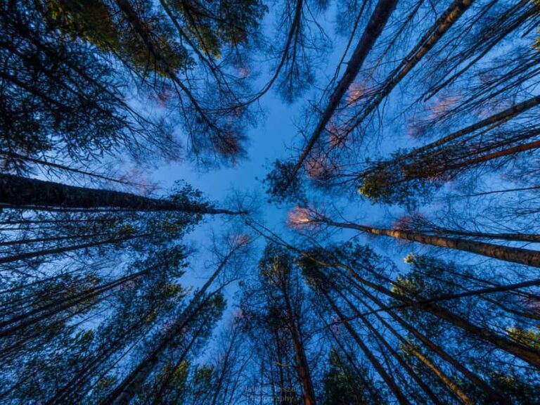 Oulu: 1-Hour Fatbike Tour from Nallikari to Hietasaari - The Experience in All Seasons