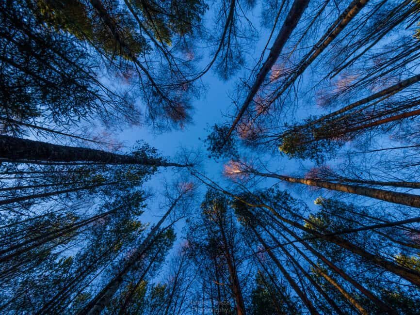 Oulu: 1-Hour Fatbike Tour from Nallikari to Hietasaari - The Experience in All Seasons