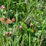 OUR FANTASTIC NATIONAL PARK! - A Deep Dive into the Experience