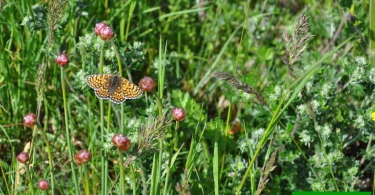 OUR FANTASTIC NATIONAL PARK! - A Deep Dive into the Experience