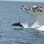 Ouranoupoli : Mount Athos 3hours guided tour - The Monasteries from Afar: What You Can Expect