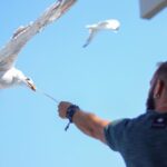 Ouranoupoli : Mount Athos & Banana beach - The Experience from Real Reviews