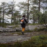 Överkalix - Lapland : Private Summer Hike with Lunch - Pricing and Value Analysis