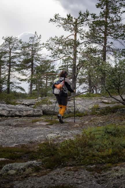 Överkalix - Lapland : Summer Hike and Midnight Sun Dinner - Who Is This Tour Best For?