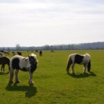 Oxford: City Bike Tour with Student Guide - Is This Tour Worth It? Analyzing the Value