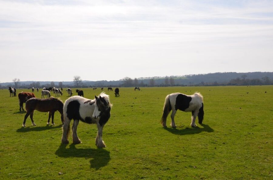 Oxford: City Bike Tour with Student Guide - Is This Tour Worth It? Analyzing the Value