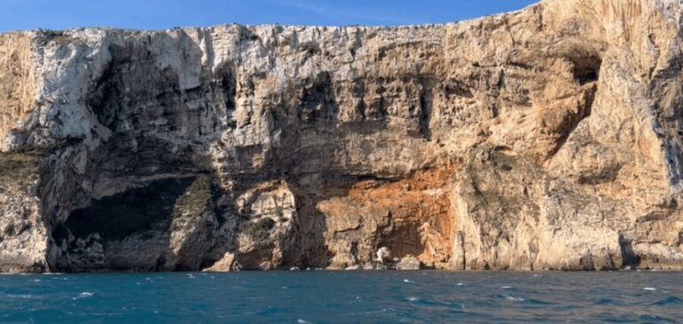 Paddle Surf Delivery Boards - Who Will Enjoy This?