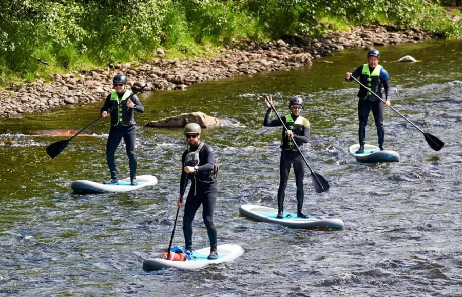 Paddleboarding to Sidergården with Cider Tasting - Why This Tour Offers Great Value