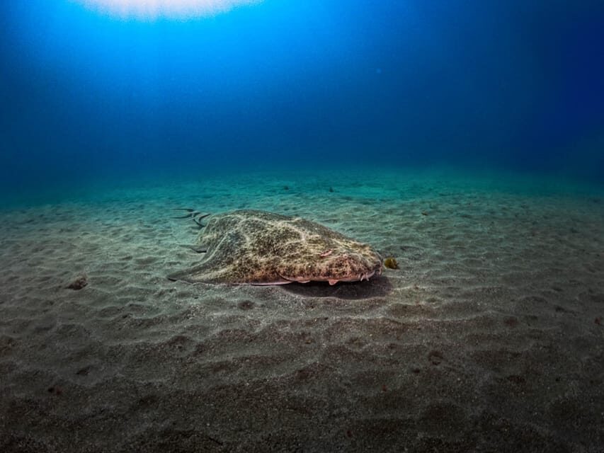 PADI ADVANCED OPEN WATER DIVER - Practical Details & Tips