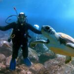 PADI Discover Scuba Diving Course in Tenerife - The Itinerary Breakdown