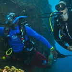 PADI Discover Scuba Diving Los Cancajos La Palma - Highlights of the Tour
