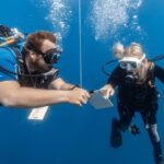 PADI Open Water Diving Course Tenerife - The Dive Experience: What Makes It Special