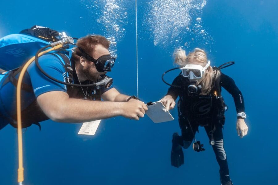 PADI Open Water Diving Course Tenerife - The Dive Experience: What Makes It Special