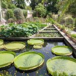Padua Botanical Garden: Sacred Architecture and Plant Intelligence - Who Should Consider This Tour?
