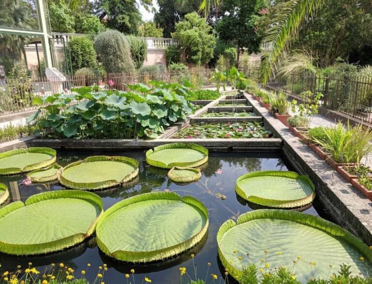 Padua Botanical Garden: Sacred Architecture and Plant Intelligence - Who Should Consider This Tour?