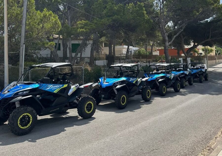 Paguera: 2 Hour Buggy Tour - The Buggies and the Driving Experience