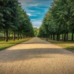 Palace of Queen Elisabeth Tour - Is It Worth the Price?