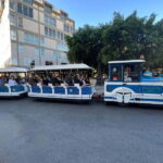 Palermo: Tour of the historic center by little train - Who Is This Tour Best Suited For?