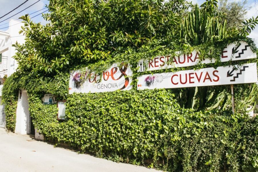 Palma: Caves of Genova Ticket & Digital Audio Guide - What to Expect During Your Visit