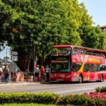 Palma de Mallorca: City Sightseeing Hop-On Hop-Off Bus Tour - Authentic Insights from Reviews