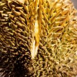 Palma de Mallorca: Disgusting Food Museum Entry Ticket - Authenticity and Value