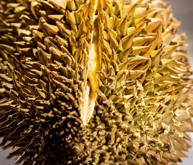 Palma de Mallorca: Disgusting Food Museum Entry Ticket - Authenticity and Value