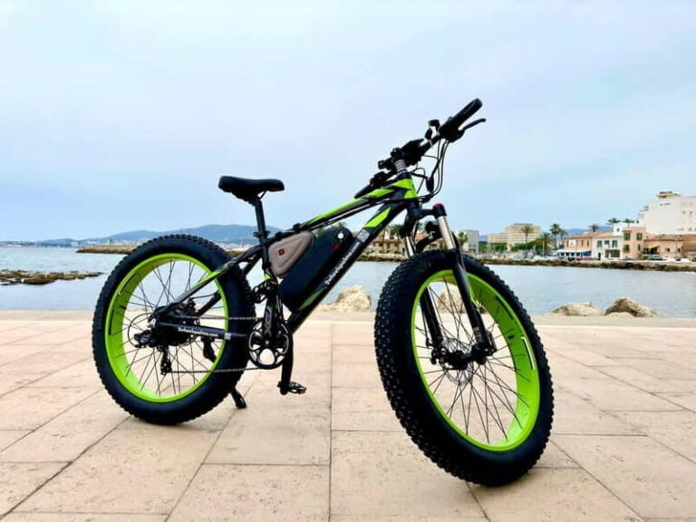 Palma de Mallorca: Exclusive Fat Tire e-Bike Rental - Who Would Love This Tour?