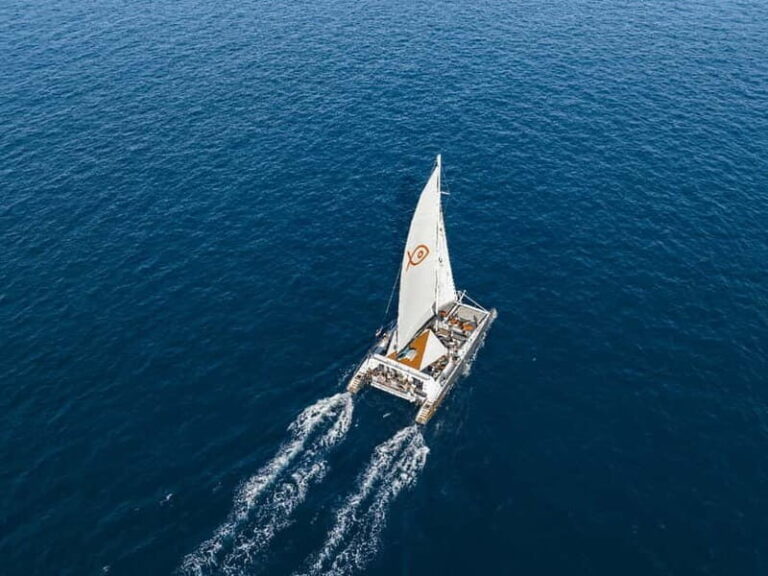 Palma de Mallorca: Half-Day Catamaran Tour with Buffet Meal - The Overall Value