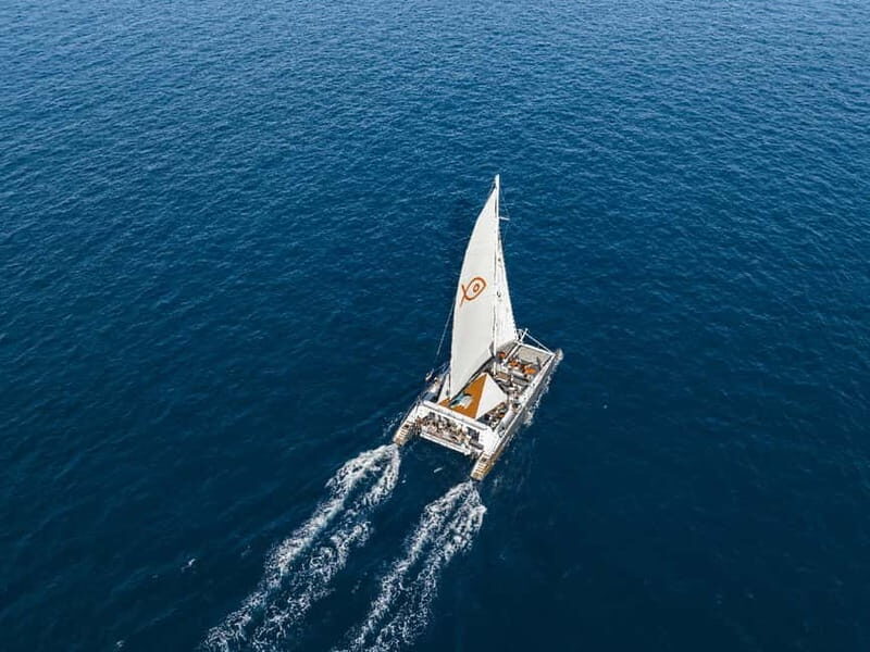 Palma de Mallorca: Half-Day Catamaran Tour with Buffet Meal - The Overall Value