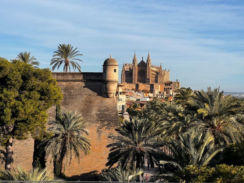 Palma de Mallorca: Old Town Atmospheric Evening Tour - A Deep Dive Into the Experience