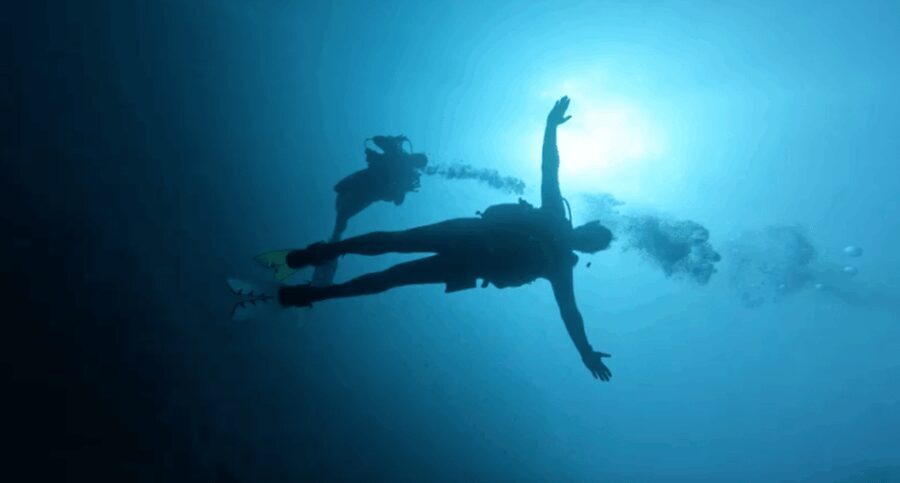 Palma de Mallorca: PADI Open Water Diver Course - Who Will Love This Experience?