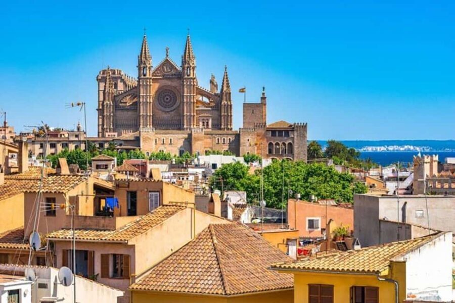 Palma de Mallorca : Private Bike Tour - What Makes This Tour Special?
