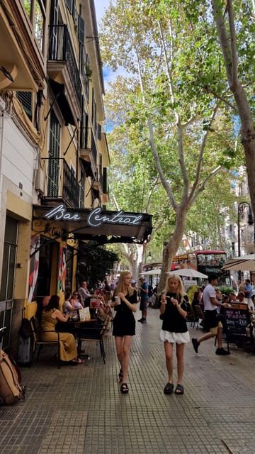 PALMA DE MALLORCA & SOLLER MIT BAHN & STADTFÜHRUNG ab Palma - Exploring Palma de Mallorca