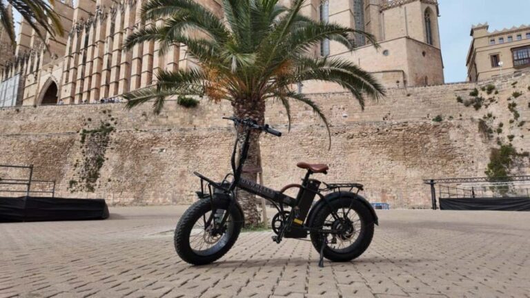 Palma: Exclusive City Highlights E-Bike Tour - Is It Worth the Price?