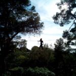 Palma: Family or Sports Course Adventure at Forestal Park - What to Expect During Your Visit
