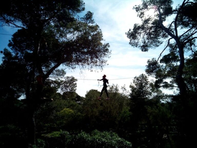 Palma: Family or Sports Course Adventure at Forestal Park - What to Expect During Your Visit
