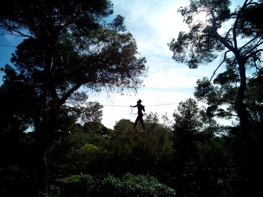 Palma: Family or Sports Course Adventure at Forestal Park - What to Expect During Your Visit
