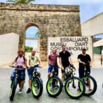 Palma: Guided City Tour with a Fat Tire E-Bike - Experience Practicalities and Tips