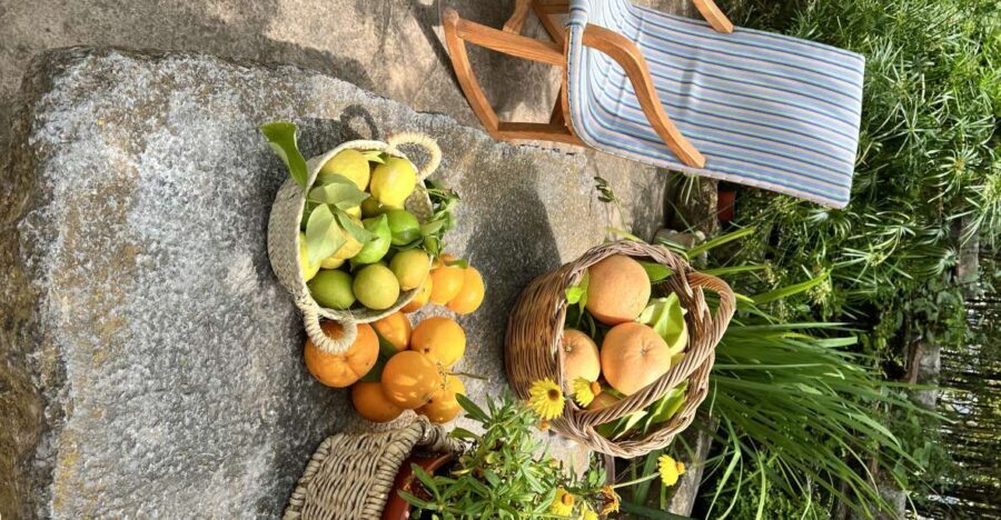 Palma: Orange Farm, Olive Mill, & Winery Tour with Tastings - What Reviewers Say