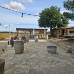 Palma: QI GONG at BODEGAS BORDOY - Practical Details and Tips