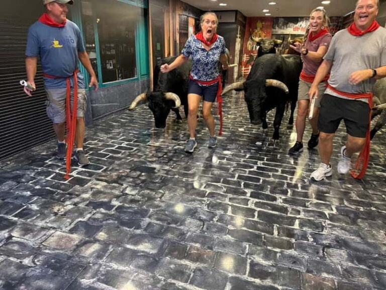 Pamplona: Walking Tour and Photo Session with Bulls - Is This Tour Worth It?