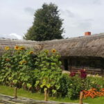 Paneriai Holocaust Site, Trakai Castle & Rumsiskes Day Tour - A Deep Dive into the Experience