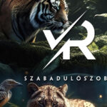 PÁNiQ-SZOBA | VR Escape Rooms by PANiQ ROOM in Budapest - The Practicalities: Booking, Location, and Group Size